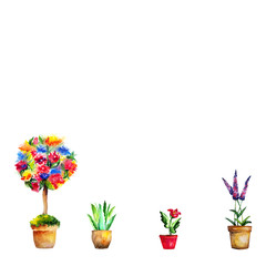 water colour flower topiary tree