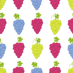 Seamless pattern with colorful grapes on the white background.