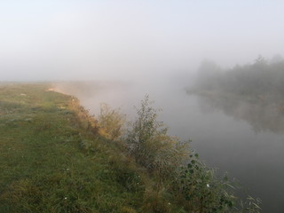 Fog on the lake. Dawn.