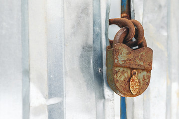 Old rusty castle hanging on the gate. Gate of galvanized metal.