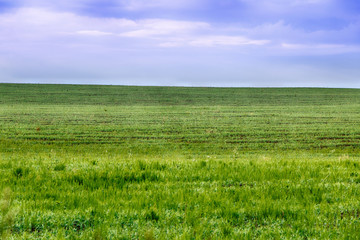 Beautiful countryside summer landscape