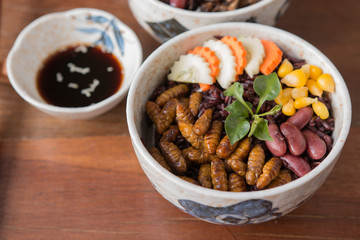Insect and Rice Berry