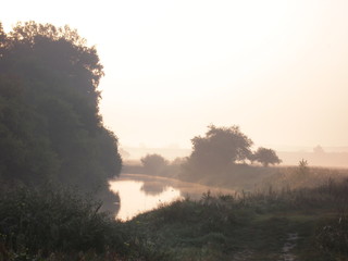 Summer landscape with a river. Dawn.