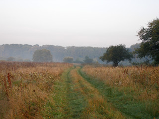 Obraz premium Road in the field