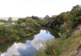 Summer landscape with trees and river