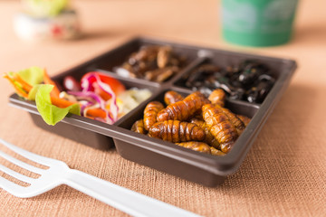 Insect food collection