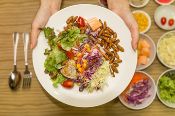 Hands hold vegetable salad
