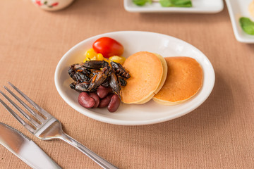 Insect pancake
