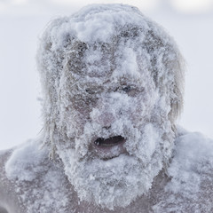 Portrait of a bearded man in the snow - 209055685