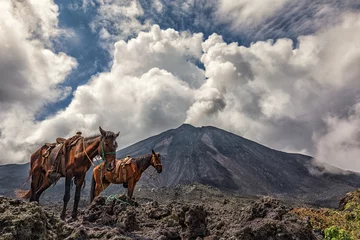 Foto auf Alu-Dibond El Volcán Pacaya, Guatemala, Mayo 2018 © Ingo Bartussek