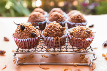 Insect food in banana cupcakes