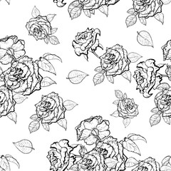 Rose hand drawn illustration pattern