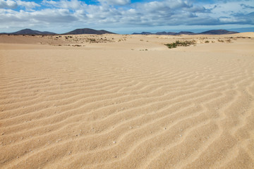 Fototapeta na wymiar Desert dunes landscape in Corralejo, Fuerteventura, Canary islands, Spain.