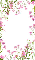 Fototapeta na wymiar isolated wild light pink flowers frame