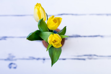 bunch of yellow tulips in vase on white vintage wooden background from above