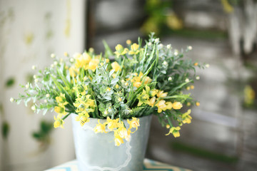 Mini pot of flowering houseplant succulent plant