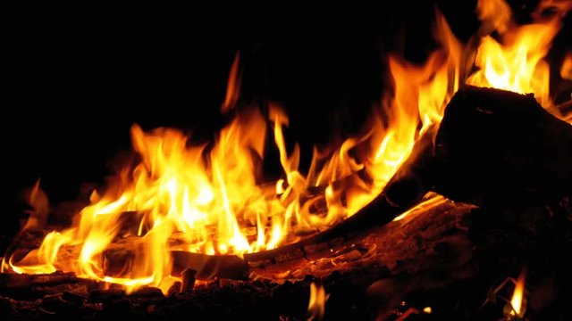 Campfire In The Night. Burning logs in orange flames close up. Background of the fire. Beautiful fire burns brightly. Embers of the fire climb up. Red flames surging up.