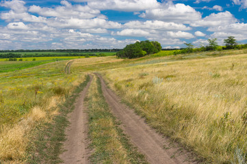Fototapeta na wymiar Earth road through summer meadow near Dnipro city in central Ukraine