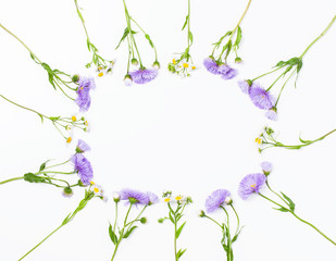 Floral frame made of violet aster flowers and field chamomile on white background. Top view with copy space. Flat lay.