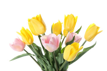 Naklejka premium Beautiful tulips on white background