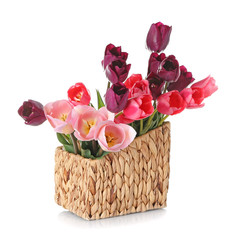 Fototapeta na wymiar Wicker basket with beautiful tulips on white background
