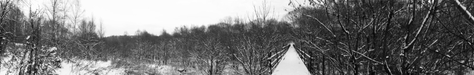 Snow-covered park panorama