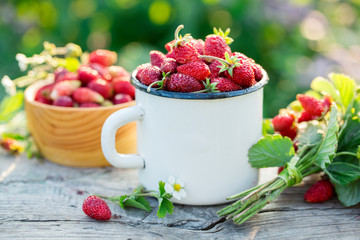 Wild strawberry in a mug close-up. Summer food.