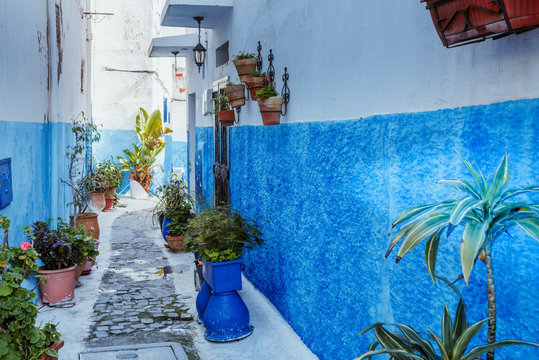 Small streets in blue and white in the kasbah of old city Rabat in Marocco © Kotangens