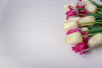 Beautiful tulips on wooden background