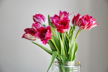 Vase with beautiful tulips on grey background