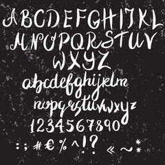 Fototapeta na wymiar Vector alphabet. Hand drawn letters written with a brush. Ink brush alphabet. Stock vector