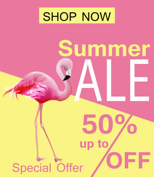 Flamingo Summer sale card Vector. violet and pink background