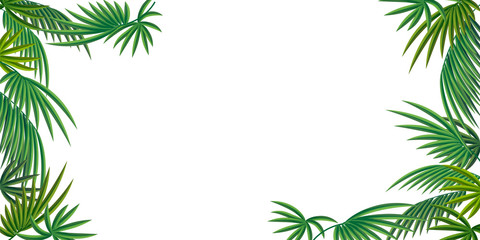 Fototapeta na wymiar A palm leaf. Abstract pattern for the background of banners and sites .Vectoral illustration.