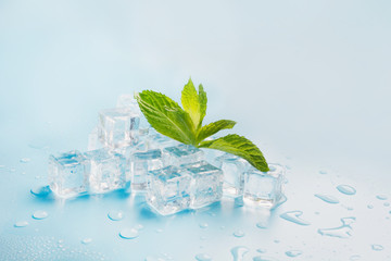 Ice with mint isolated on blue. Copy space.