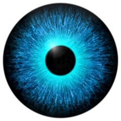 Blue eye texture with black fringe and white background	