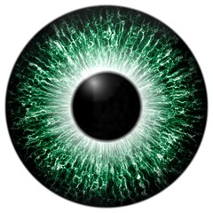 Green 3d eye texture with black fringe and lines
