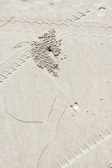 Sand balls and tire print on white sand beach.