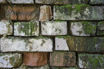 Brickwork background color of old moss retro style