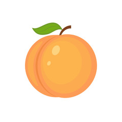 Guicy peach fruit whith green  leaf vector illustration. Isolate