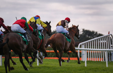 View from behind of galloping race horses and jockeys racing down the track 