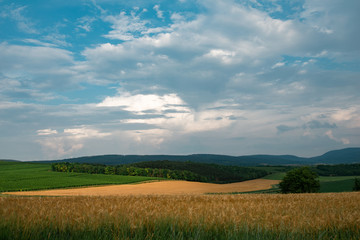 Obraz premium Landscape