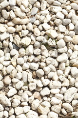 Kieselsteinchen als Bodenbelag