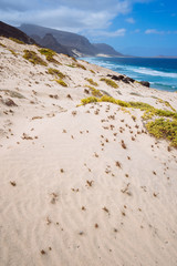 Sandy dunes with some desert plants in stunning desolate landscape of atlantic coastline. Baia Das Gatas, North of Calhau, Sao Vicente Island Cape Verde