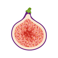 Colorful half figs with green leaf. Vector illustration isolated