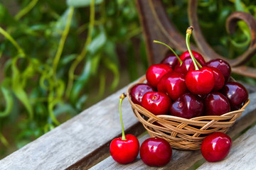 Fototapeta na wymiar Basket full of ripe red cherries stands on the bench