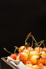 Bowl rainier yellow cherry, colorful dessert. Copy space for text.