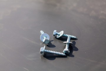  silver screws with washer