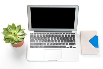 Conceptual workspace or business concept. Laptop computer with plant in a pot and notebook on white background.