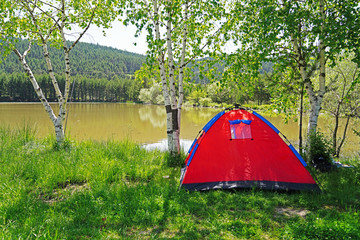 Rest in a red tent in a pine forest on the shore lake on a sunny day