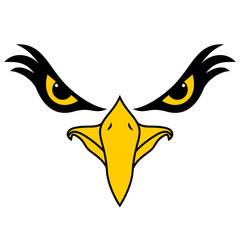 Eagle face with intense look
